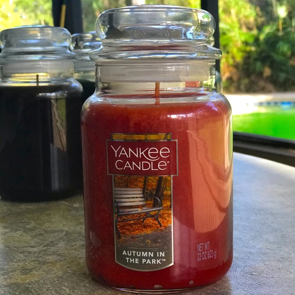 Yankee Candle Autumn in the Park Lg 22 Oz. Jar New